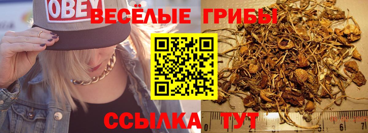 Марихуана  ГАШИШ  Кокаин  МЕФ кристаллы  ТГК  Саянск  Вход с VPN 