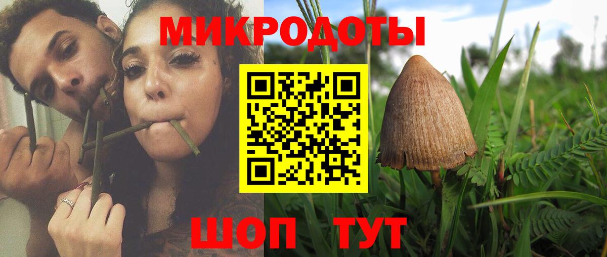 Псилоцибиновые грибы MAGIC MUSHROOMS  Псилоцибиновые грибы мухоморы  Вход с VPN  Саянск 
